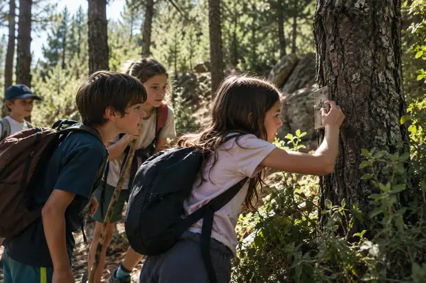 Niños participando en una aventura educativa y buscando pistas en un bosque